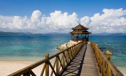 海南旅游正當時 逃離寒冷，盡享海島暖冬的愜意時光